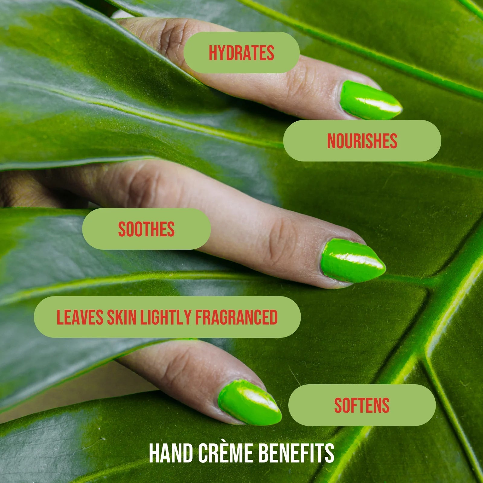 Mini Hand Crème by Sassy and Co™ | Crazy Plant Lady