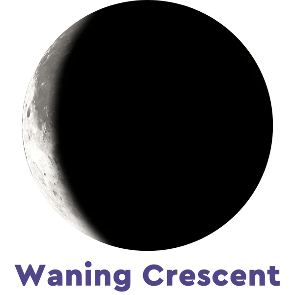 Moonglow Two - Tone Necklace - Juli's Wearable Art