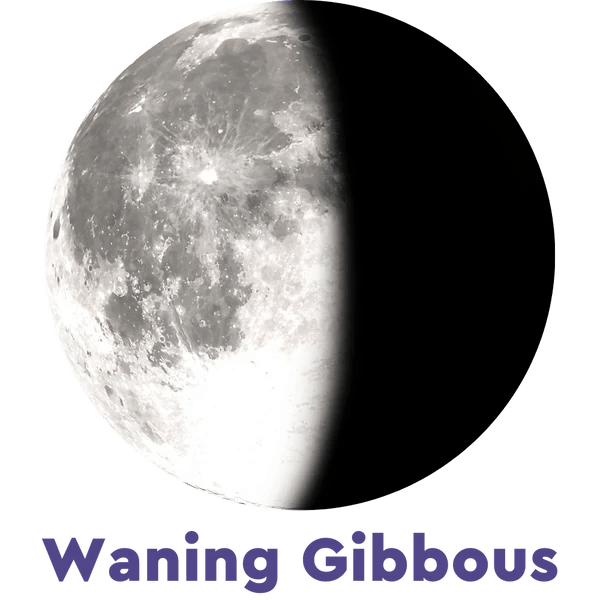 Moonglow Two - Tone Necklace - Juli's Wearable Art