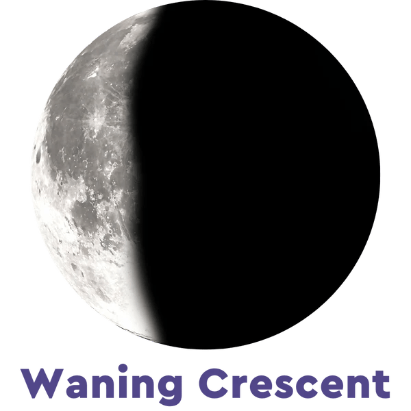 Moonglow Two - Tone Necklace - Juli's Wearable Art