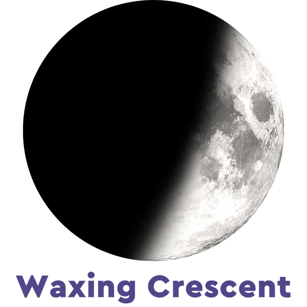 Moonglow Two - Tone Necklace - Juli's Wearable Art