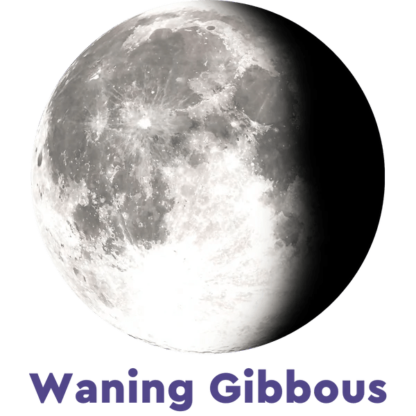 Moonglow Two - Tone Necklace - Juli's Wearable Art