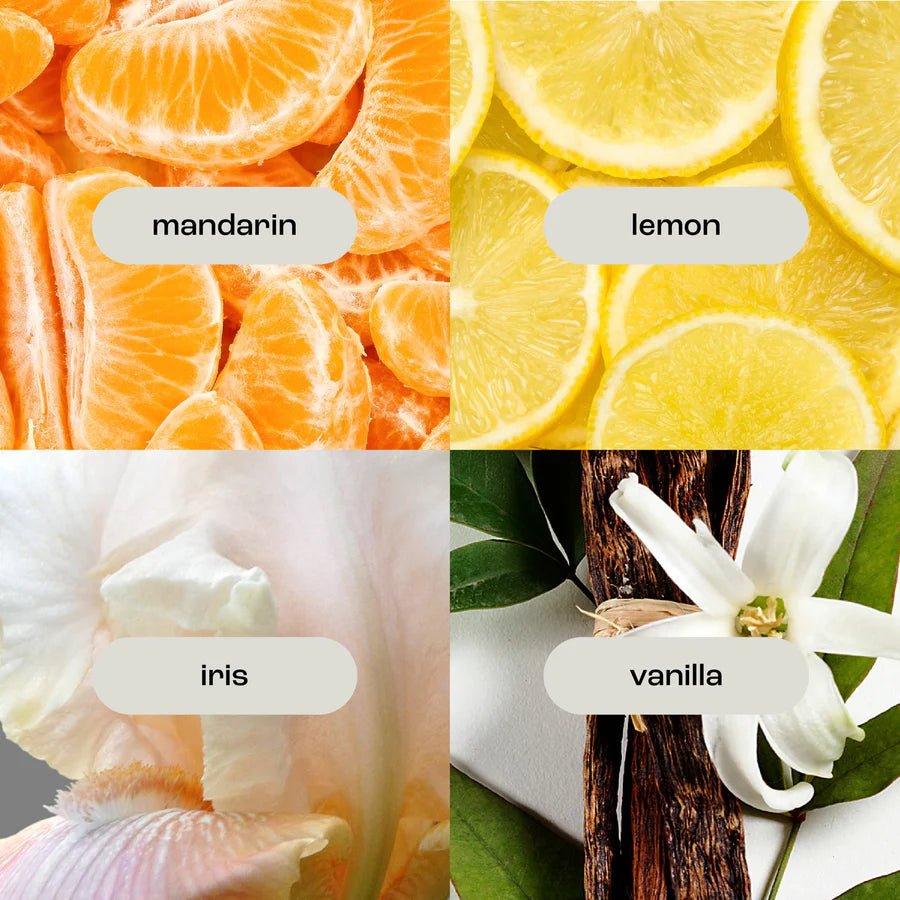 Natural Inspirations Coconut Ambre Vanilla Body Care Trio - Juli's Wearable Art