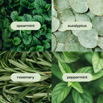 Natural Inspirations Eucalyptus Rosemary Mint Foot Balm - Juli's Wearable Art