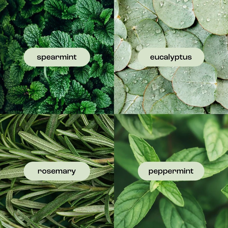 Natural Inspirations Eucalyptus Rosemary Mint Ultra-Moisturizing Mini Body Butter