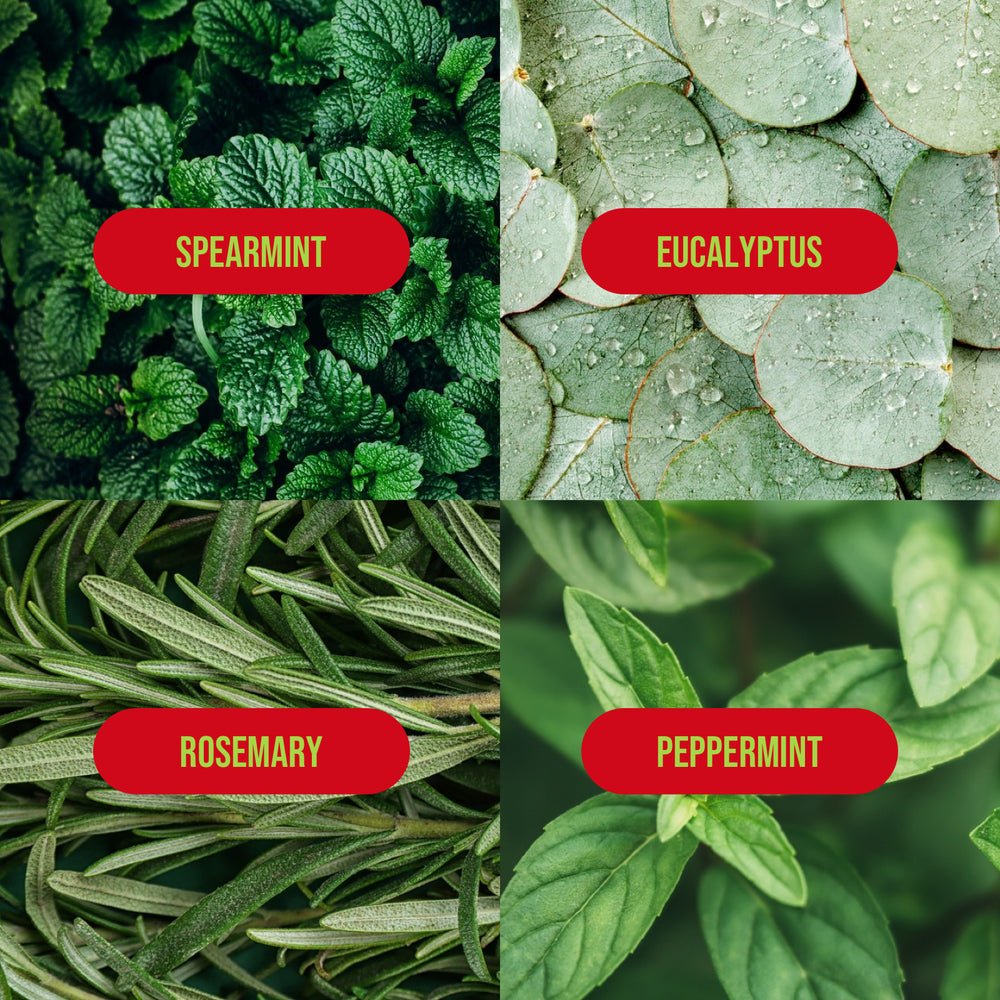 Natural Inspirations Ho Ho Glow – Eucalyptus Mint Mini Hand Crème - Juli's Wearable Art