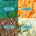 Natural Inspirations Sea Salt Citrus Body Care Trio - Juli's Wearable Art