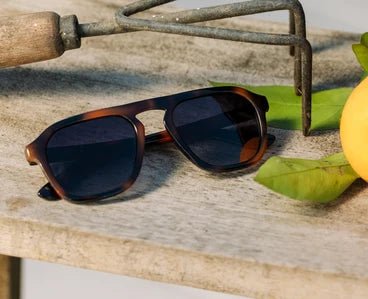 Peepers Polarized Sunglasses | Deep Dive | Mocha Tortoise