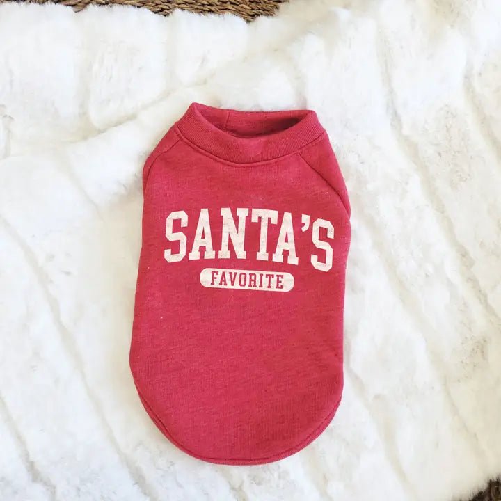 Santa's Favorite Pet Graphic Sweatshirt - Juli's Wearable Art