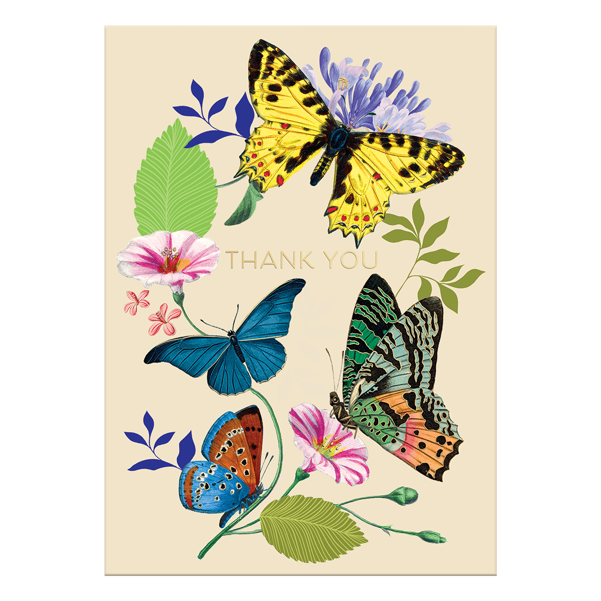 Thank You Butterflies Greeting Card - Juli's Wearable Art