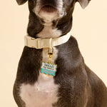 The Darling Effect Pawfect Collar Charm | Good Boy - Juli's Wearable Art