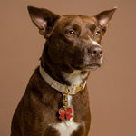 The Darling Effect Pawfect Collar Charm | Holiday Bow - Juli's Wearable Art