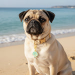 The Darling Effect Pawfect Collar Charm | Sea Shell - Juli's Wearable Art