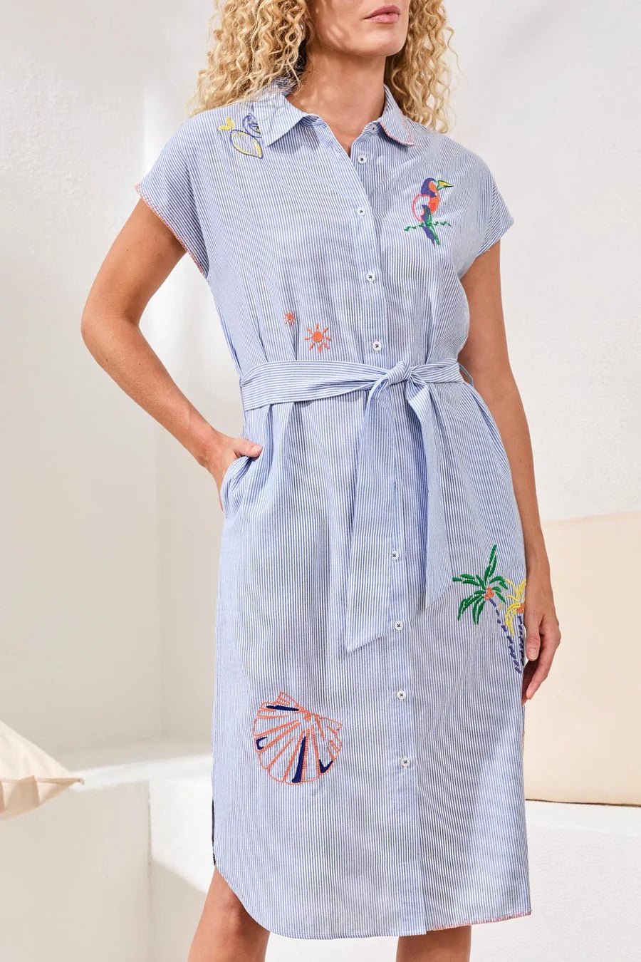 Tribal Embroidered Stripe Cotton Shirt Dress | Baja Blue
