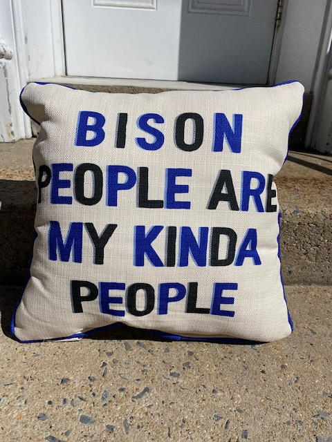 Bedford County School Pillows