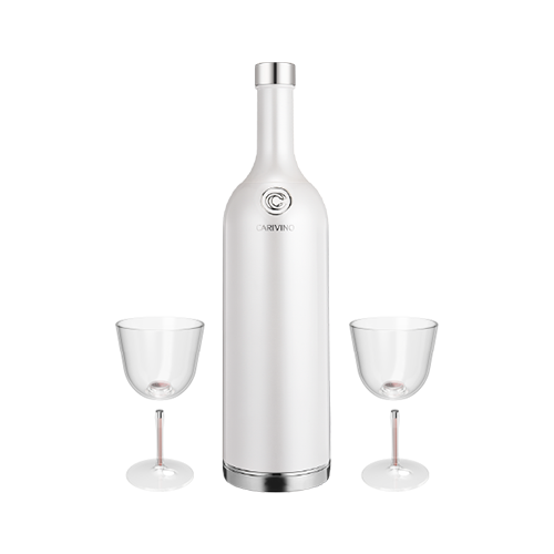 Carivino Classic All-in-One Insulated Wine Bottles with Glasses & more