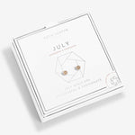 A Littles & Co. Birthstone Earrings - Juli's Wearable Art