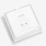 A Littles & Co. Birthstone Earrings - Juli's Wearable Art
