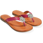 Brighton Aster Thong Sandals - Juli's Wearable Art