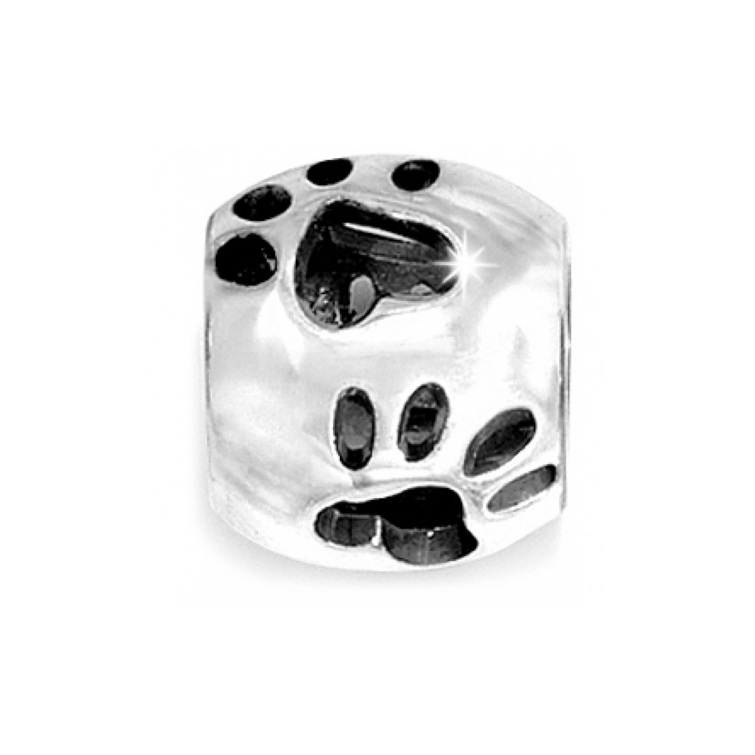 Brighton Paw Bead