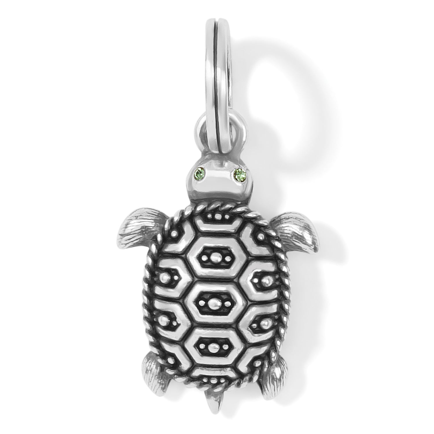 Brighton Pismo Turtle Charm - Juli's Wearable Art