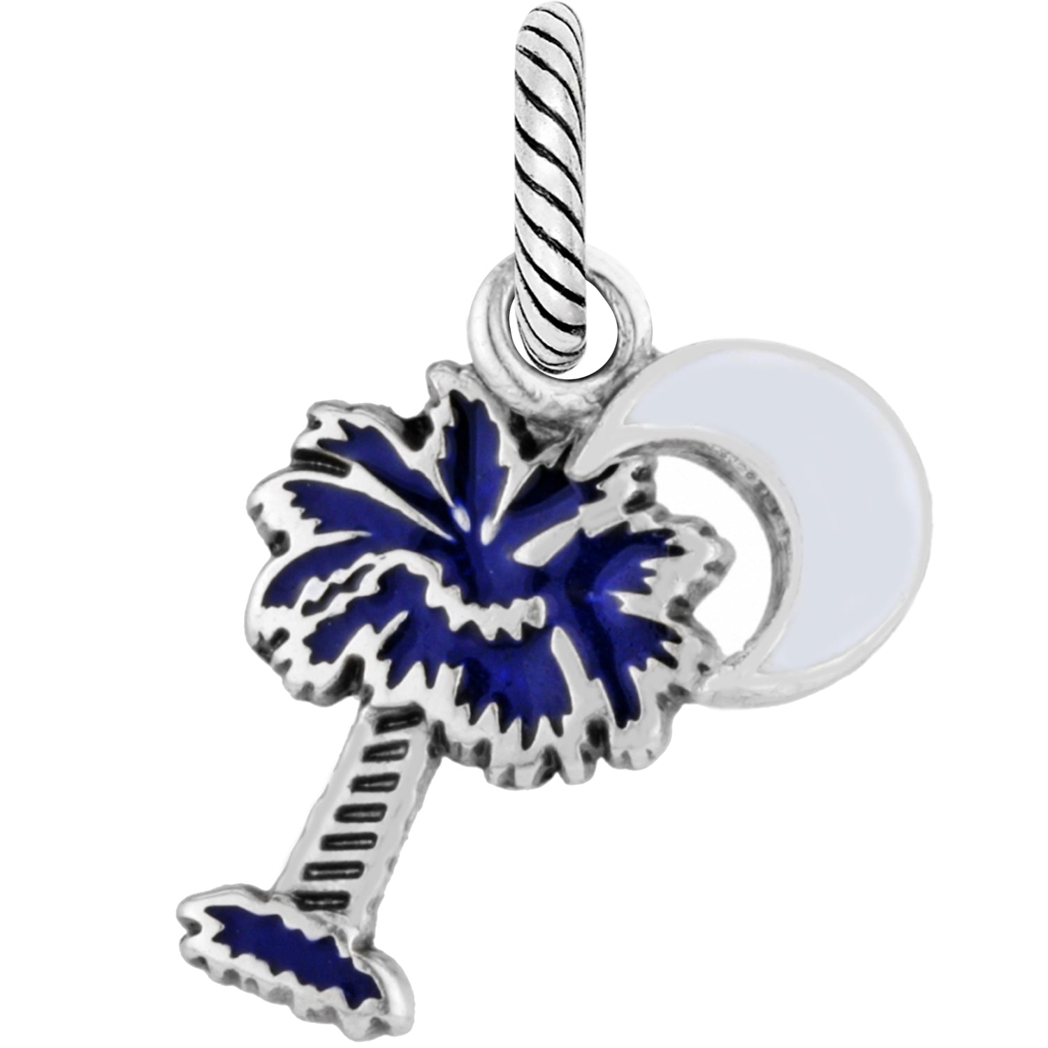Brighton South Carolina Charm - Juli's Wearable Art