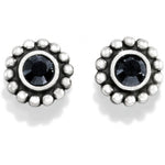 Brighton Twinkle Mini Post Earrings - Juli's Wearable Art