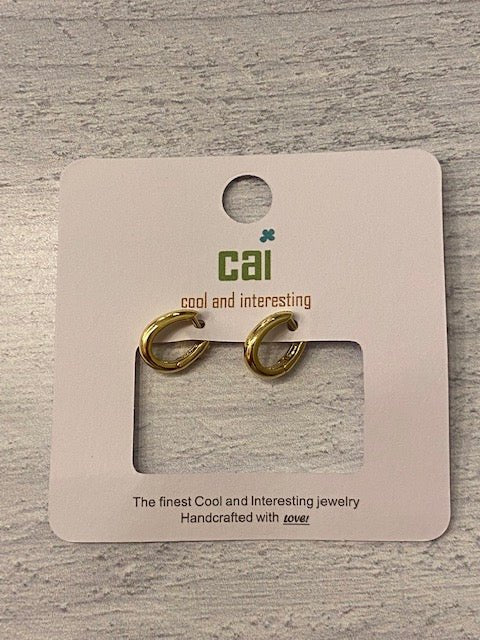 CAI Huggie Earrings - Juli's Wearable Art