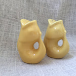 GurglePot Salt & Pepper Shakers - Juli's Wearable Art