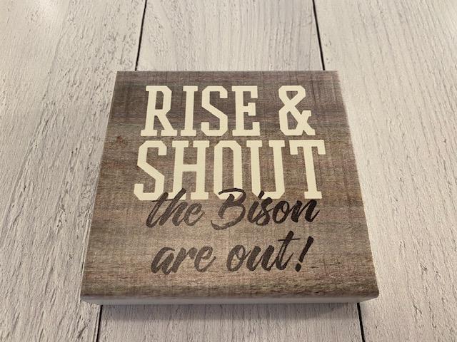 Local School Rise and Shout Blocks