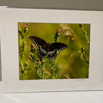 WATTERWORKS ART - Juli's Wearable Art