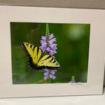 WATTERWORKS ART - Juli's Wearable Art