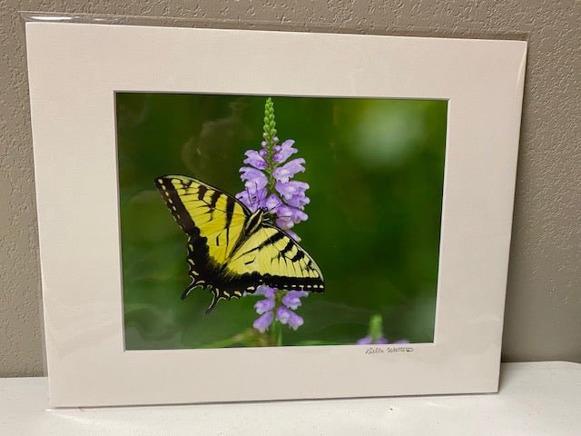 WATTERWORKS ART - Juli's Wearable Art